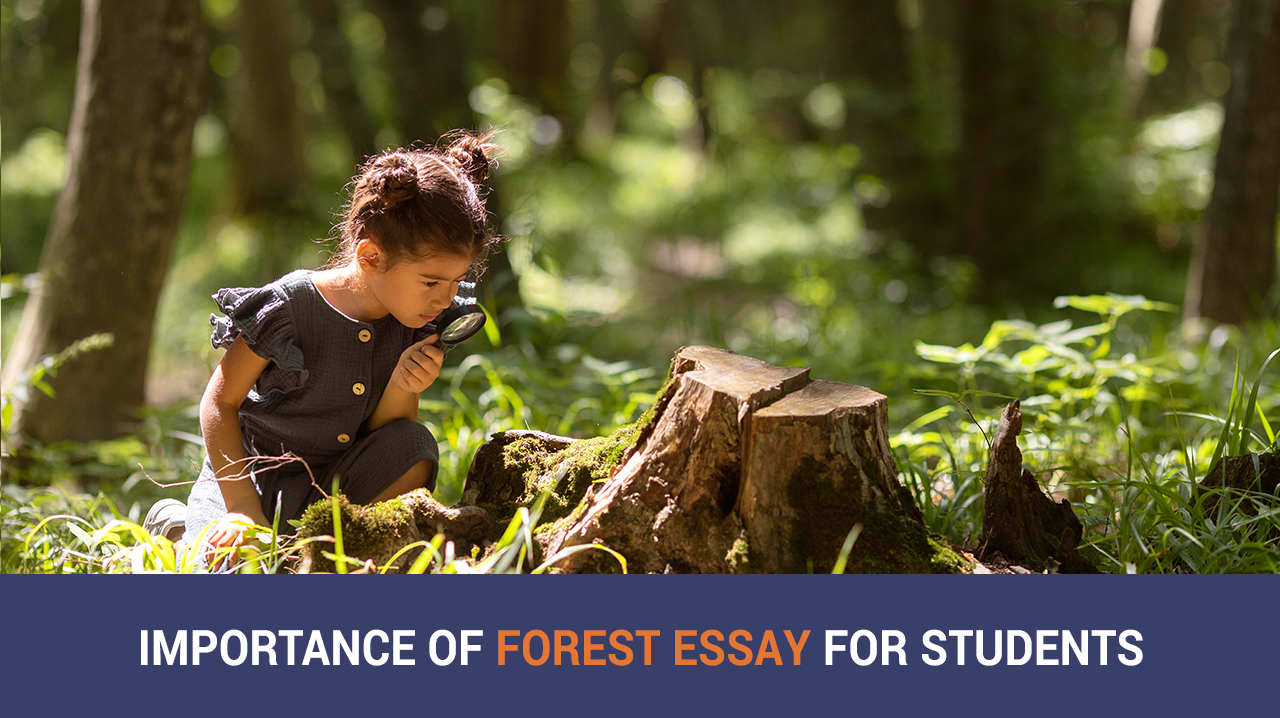 importance of forest short essay